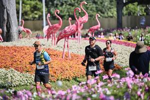 BIB: 
                            <button type="button" onclick="openModal(27793356)" class="btn btn-primary btn-sm float-right btn-popup" data-toggle="modal" data-target=".modal-high-quality">
                        <i class="fas fa-shopping-cart"></i> Add to Cart
                    </button>
                                            <button type="button" onclick="isThisMe(27793356, true)" class="btn btn-success btn-sm float-right btn-popup btn-isme hidden" data-toggle="tooltip" data-placement="bottom" title="นี่คือรูปของคุณใช่ไหม คลิกที่นี่เพื่อเอาเข้าอัลบั้ม">
                        <i class="fas fa-plus"></i> Add to album
                    </button>
                    <button type="button" onclick="isThisMe(27793356, false)" class="btn btn-warning btn-sm float-right btn-popup btn-isnotme hidden">
                        <i class="fas fa-ban"></i> Remove from album
                    </button>